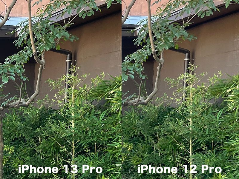iPhone 13 Pro とiPhone 12 Pro通常撮影比較
