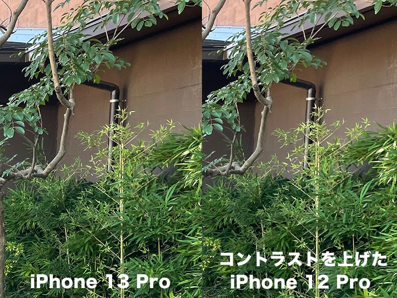 コントラストを上げたiPhone12 ProとiPhone 13 Proの比較