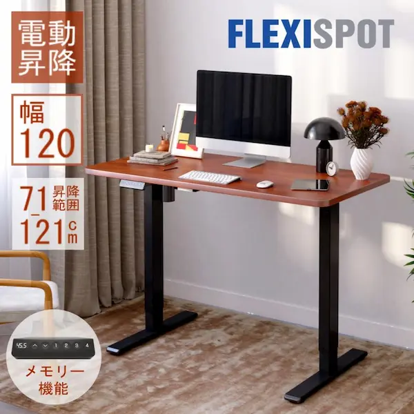 FlexiSpot E8